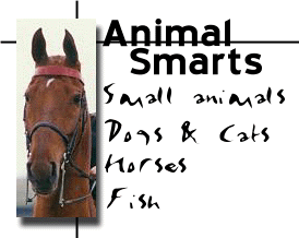 Animal Smarts